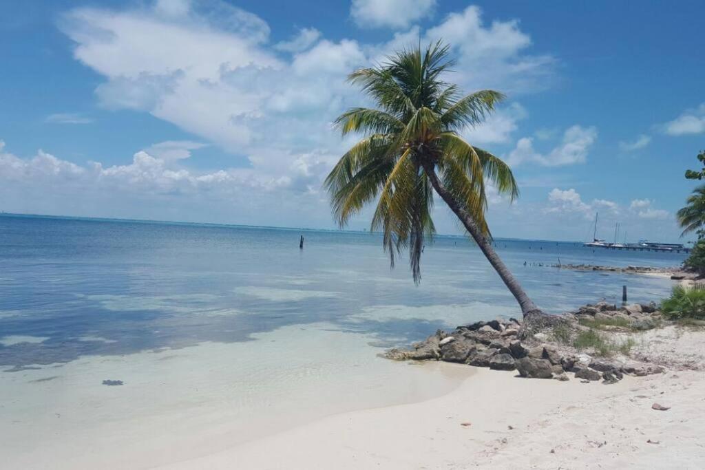 Marysol Private Beach Next To Nomads D5 Isla Mujeres Exteriör bild